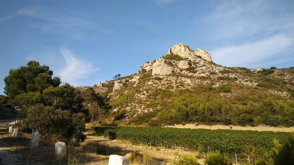Apartament Le Lapin Blanc Saint-Rémy-de-Provence Zewnętrze zdjęcie