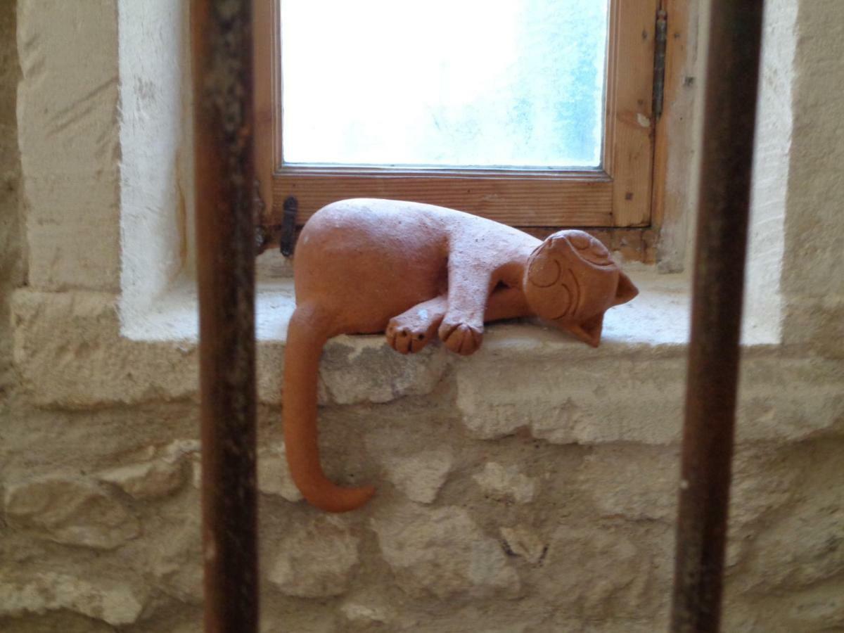 Apartament Le Lapin Blanc Saint-Rémy-de-Provence Zewnętrze zdjęcie